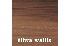 szafa Wario - śliwa wallis z lustrem